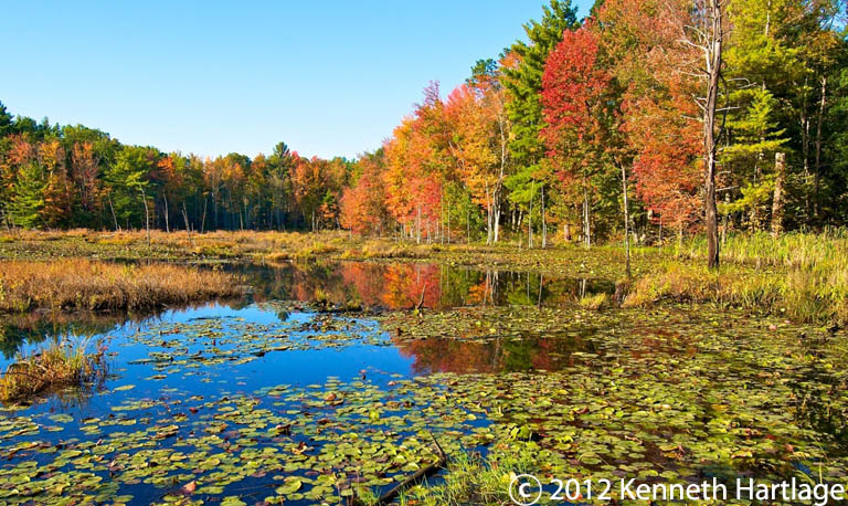 blood brook ravine pond